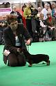 Crufts2011_2 1185